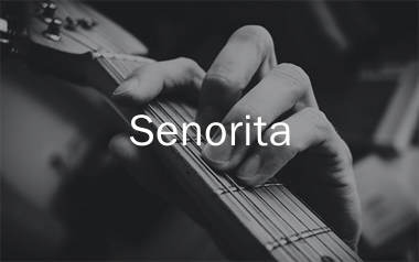 Senorita指弹吉他谱_肖恩_吉他指弹独奏谱_高清六线谱