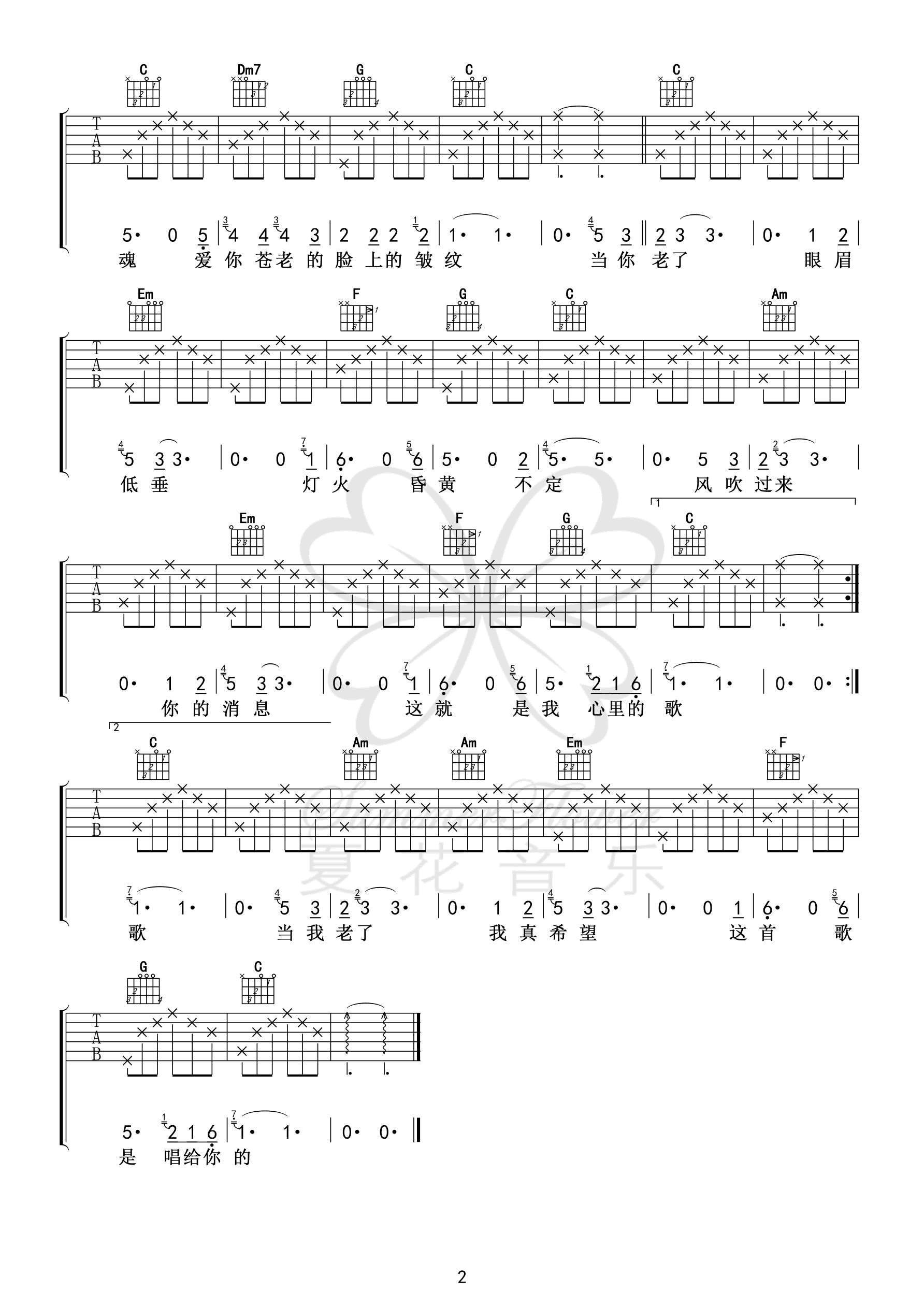 当你老了吉他谱2-赵照