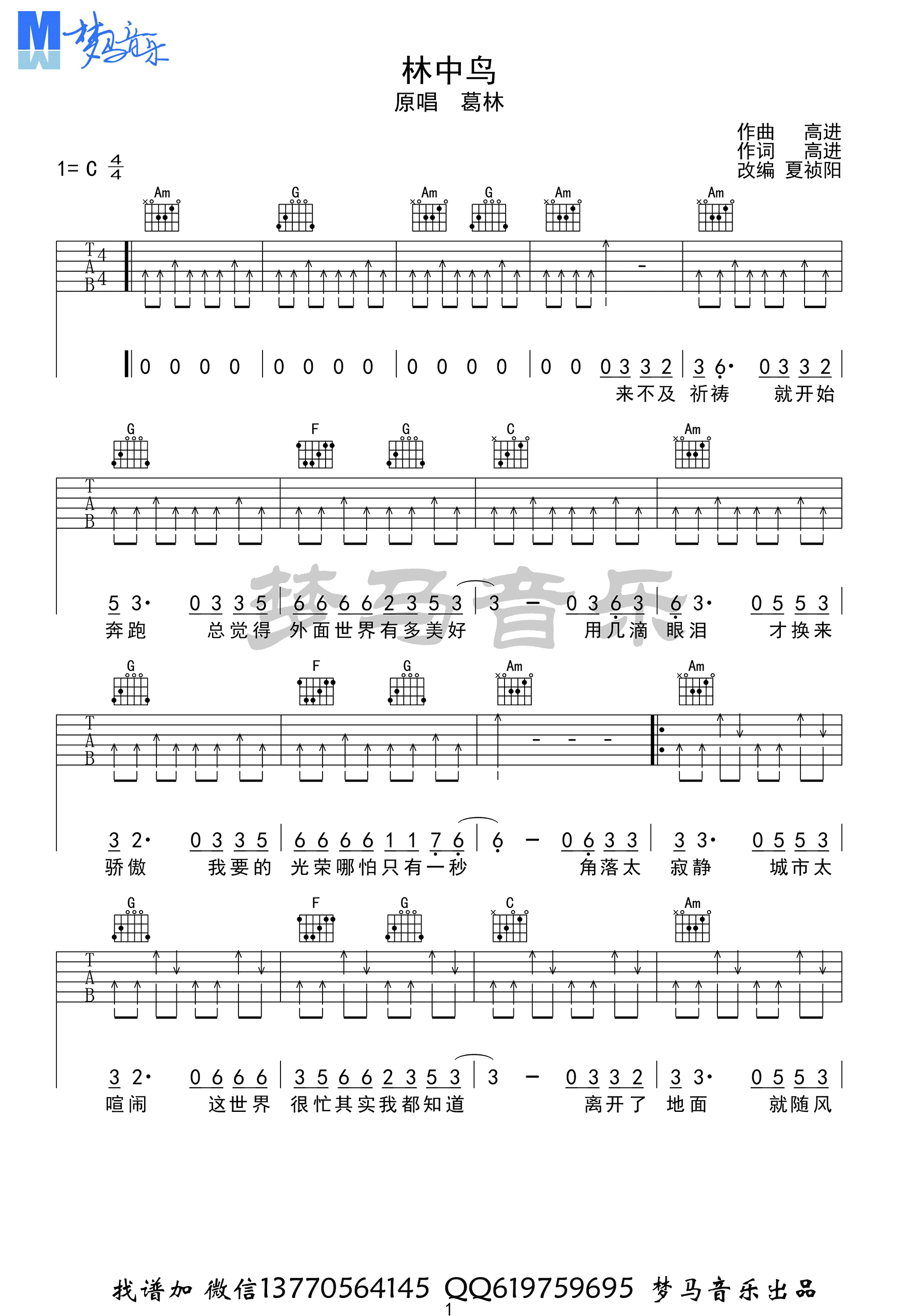 林中鸟吉他谱1-葛林