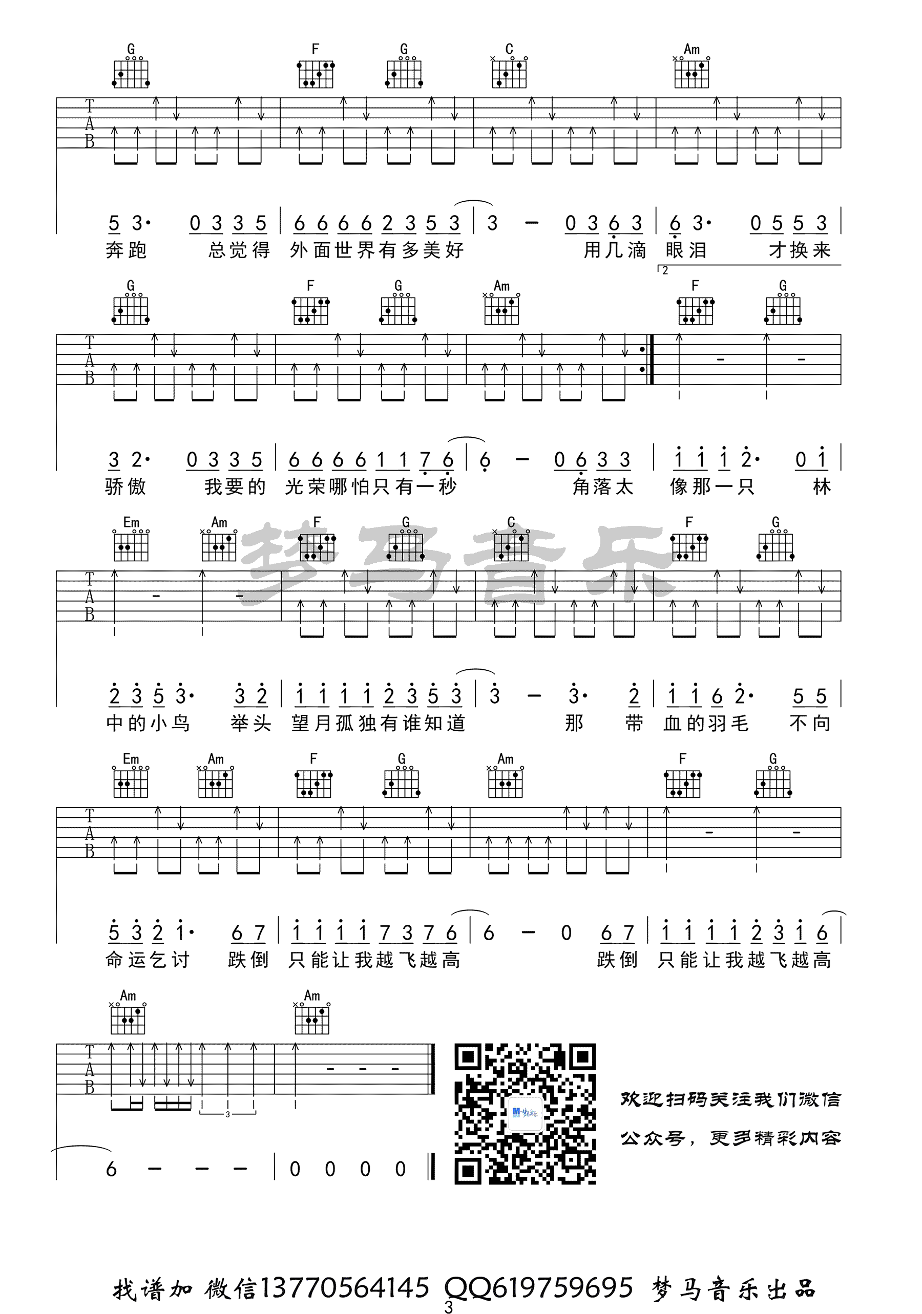 林中鸟吉他谱3-葛林