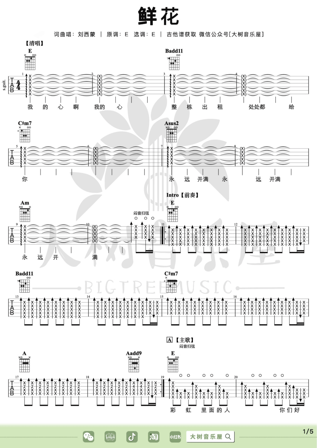 鲜花吉他谱1-回春丹乐队