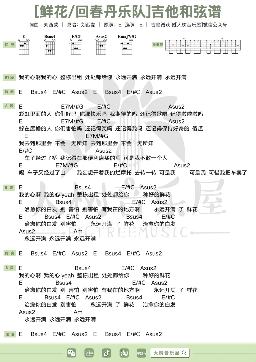 鲜花吉他谱6-回春丹乐队