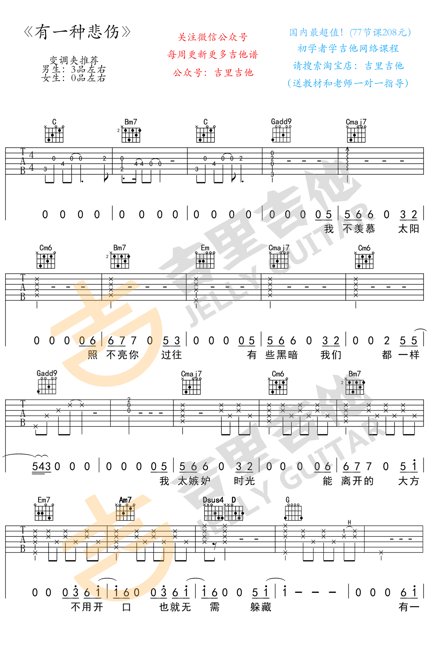 有一种悲伤吉他谱1-黄丽玲