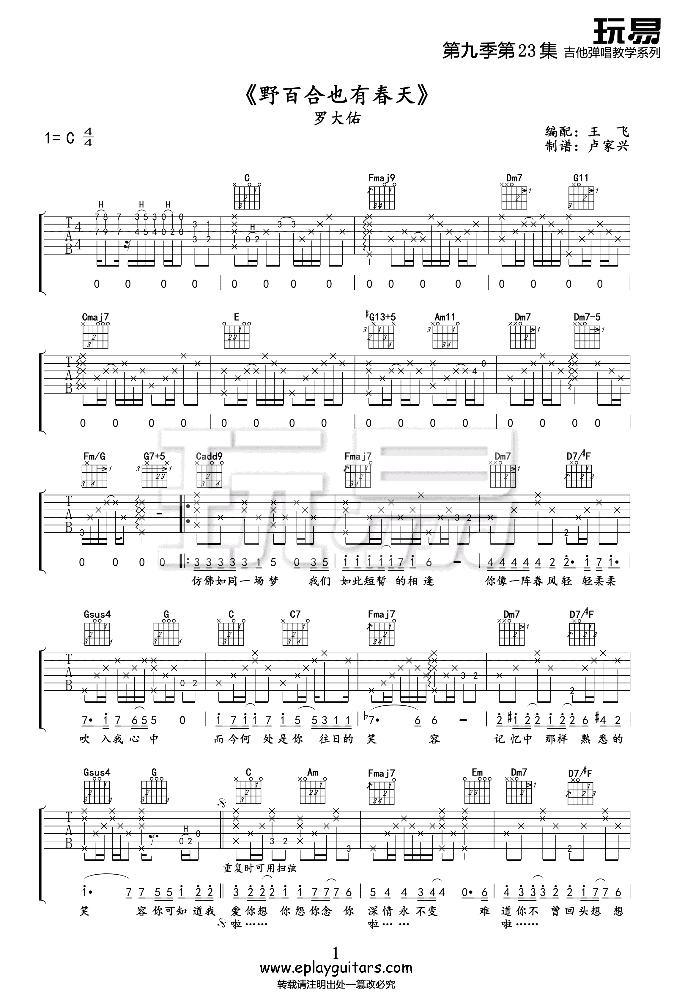 野百合也有春天吉他谱1-罗大佑